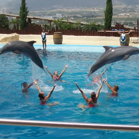 Vista Alegre , Cerca De Valencia Y Castellon Guest house